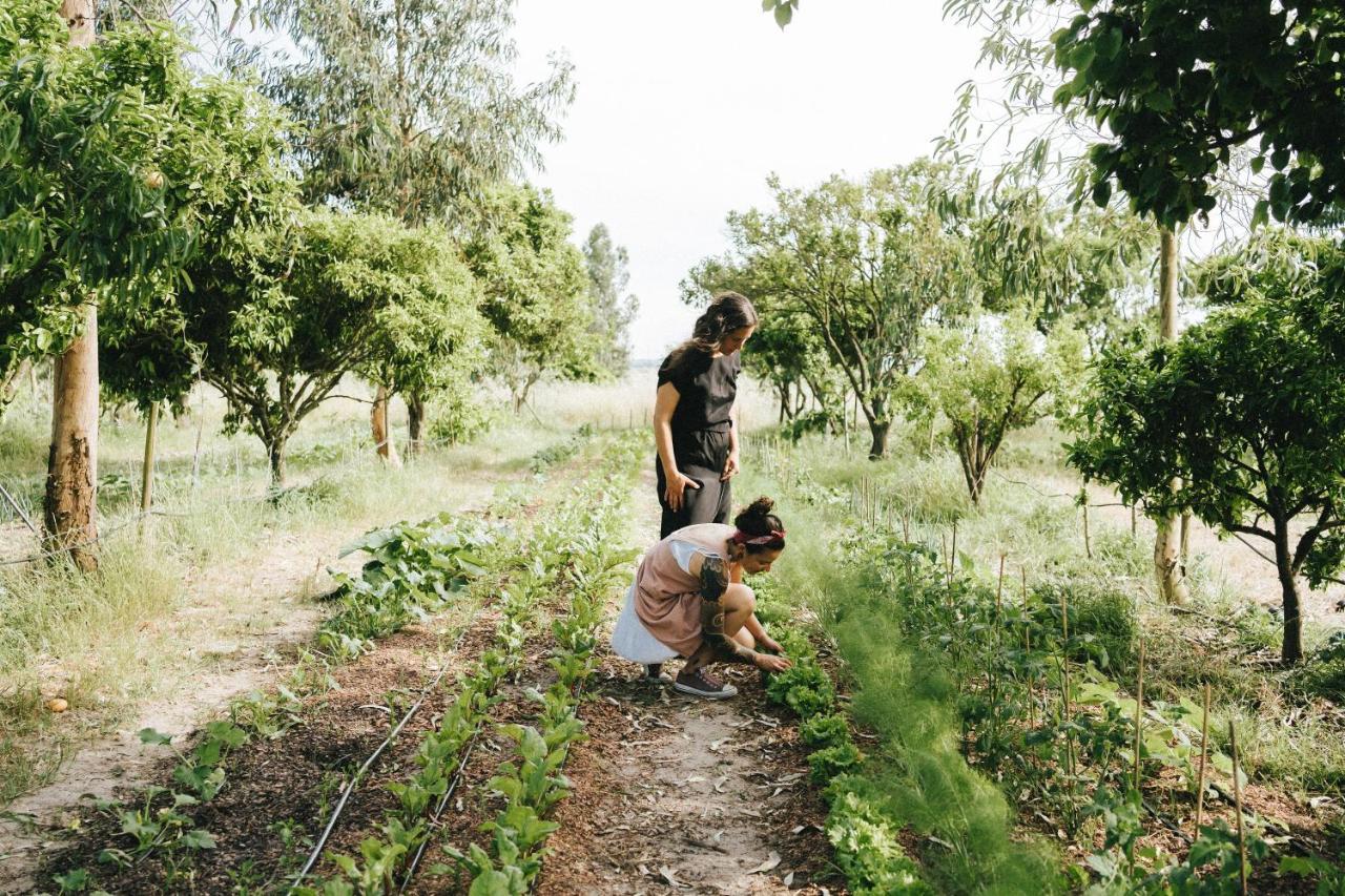 فيلا Humus Farm Águas de Moura المظهر الخارجي الصورة